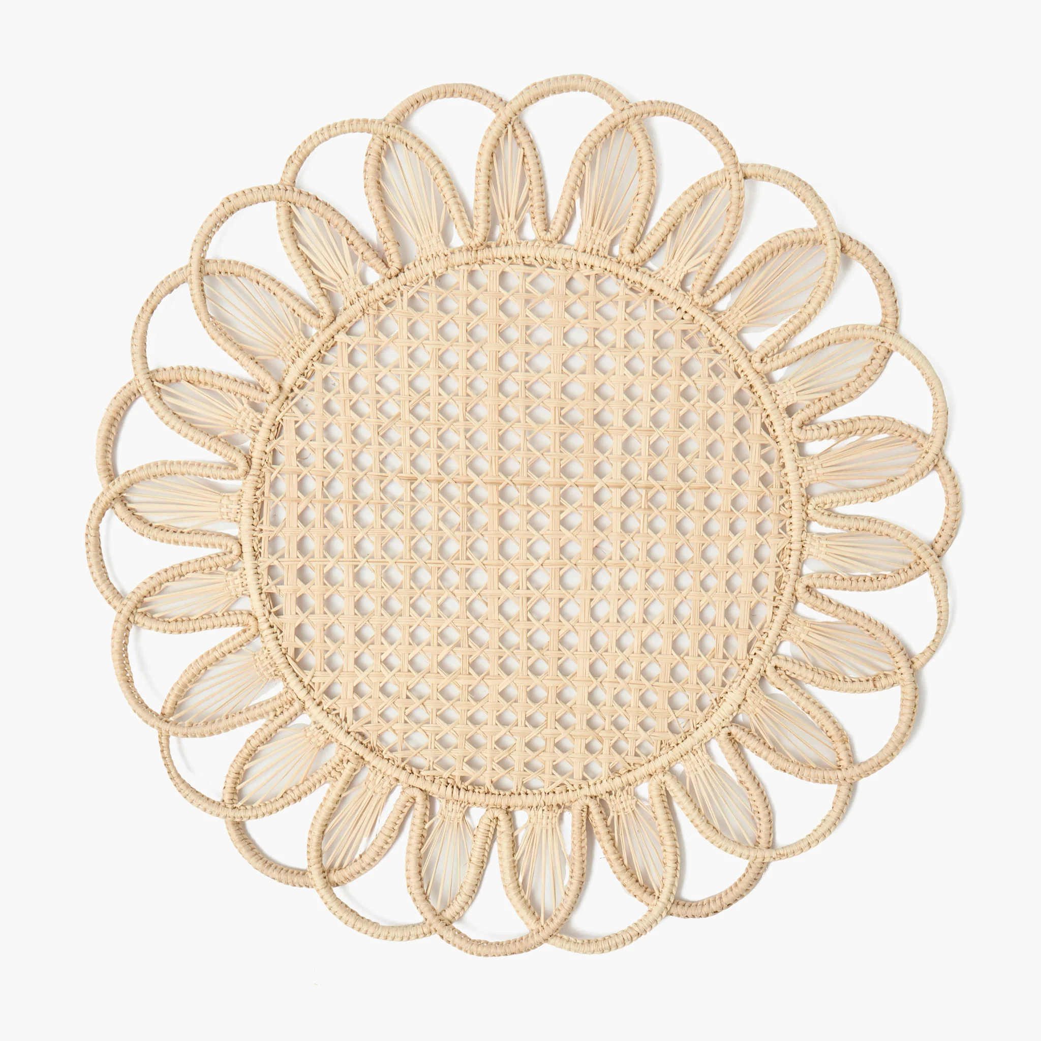 Cara Woven Placemats (Set of 4) - Image 12