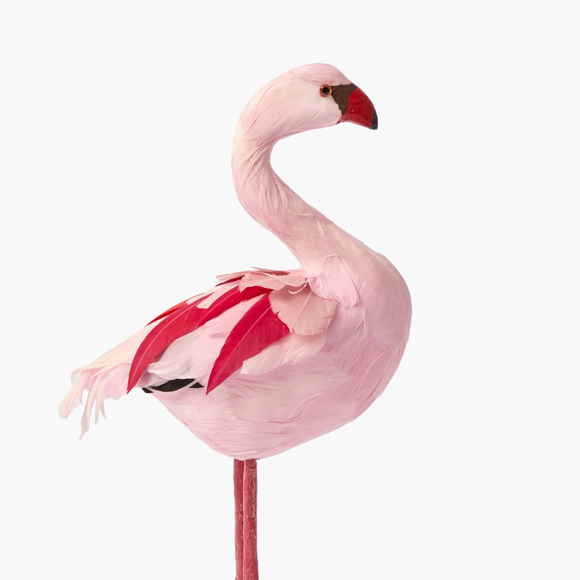 Faye Flamingo (Pair) - 30cm - Image 6