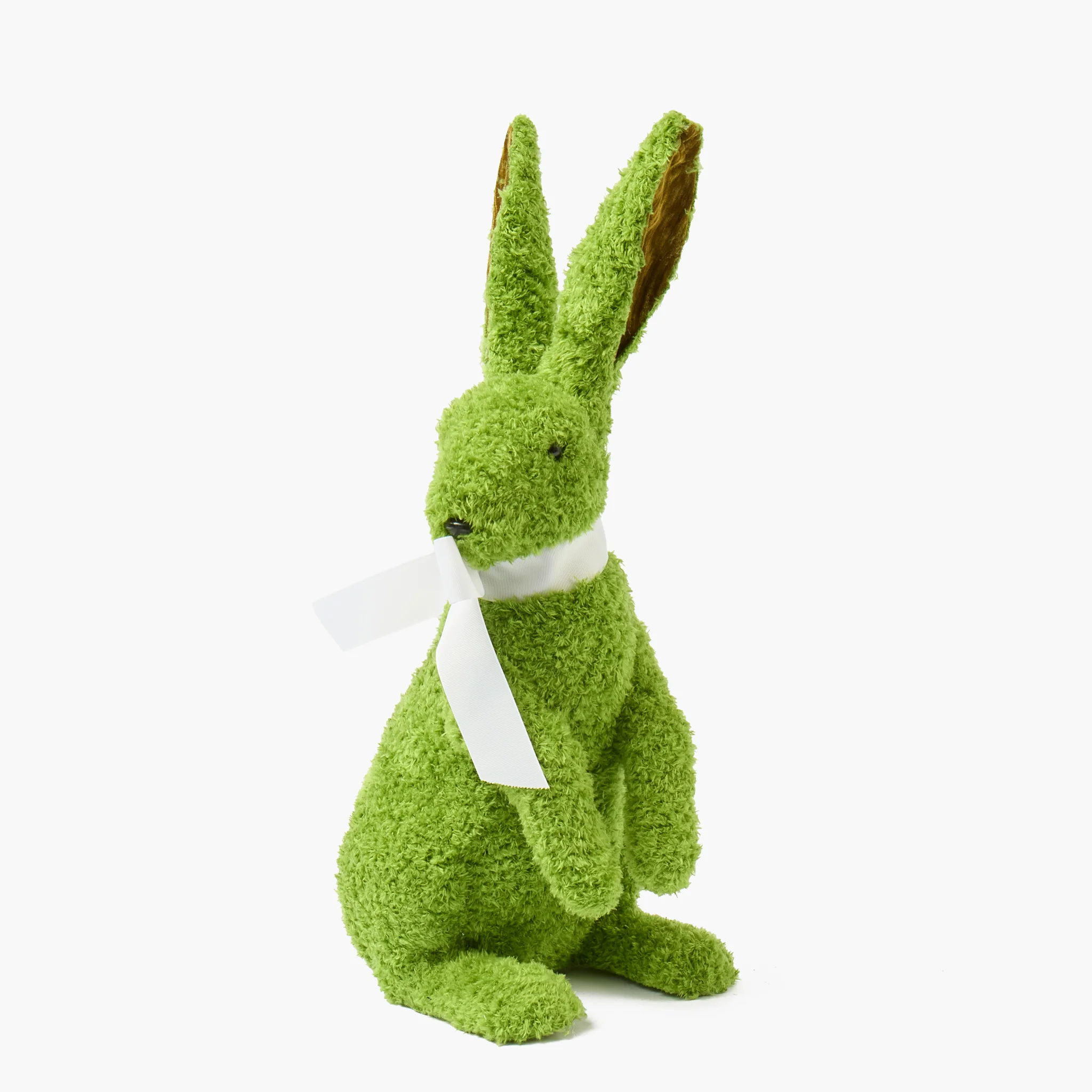 Gina the Giant Rabbit - Image 13