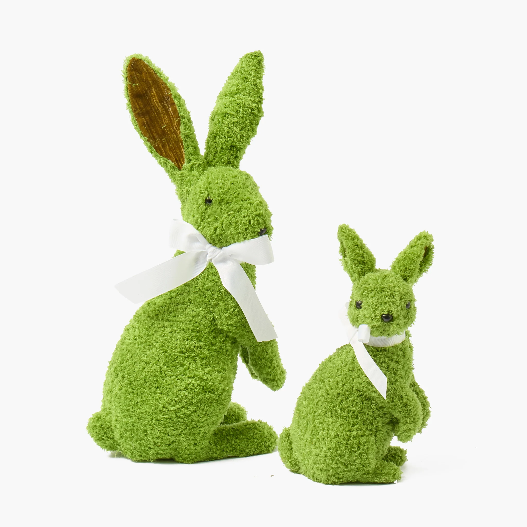 Gina the Giant Rabbit - Image 14