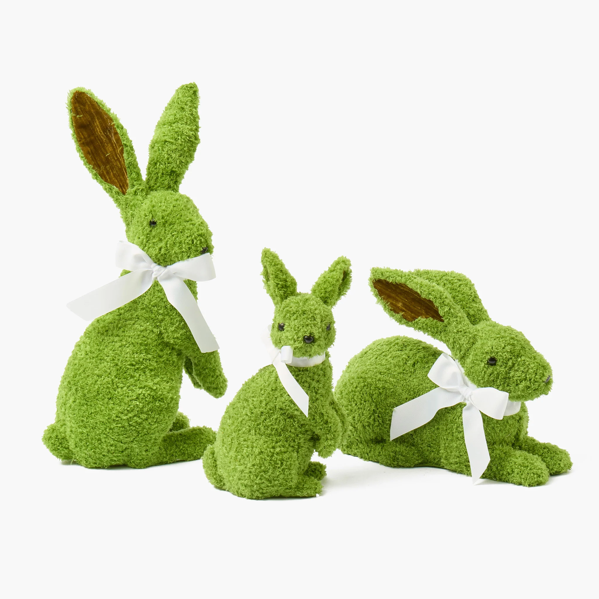 Gina the Giant Rabbit - Image 7