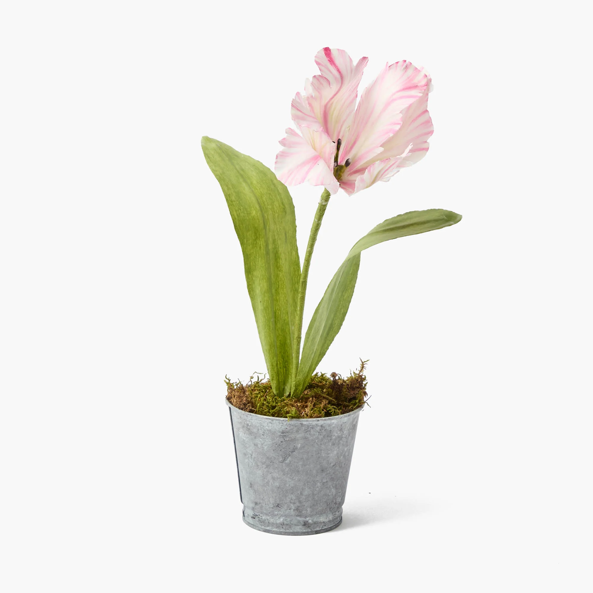 Pink Handpainted Tulip - Image 14