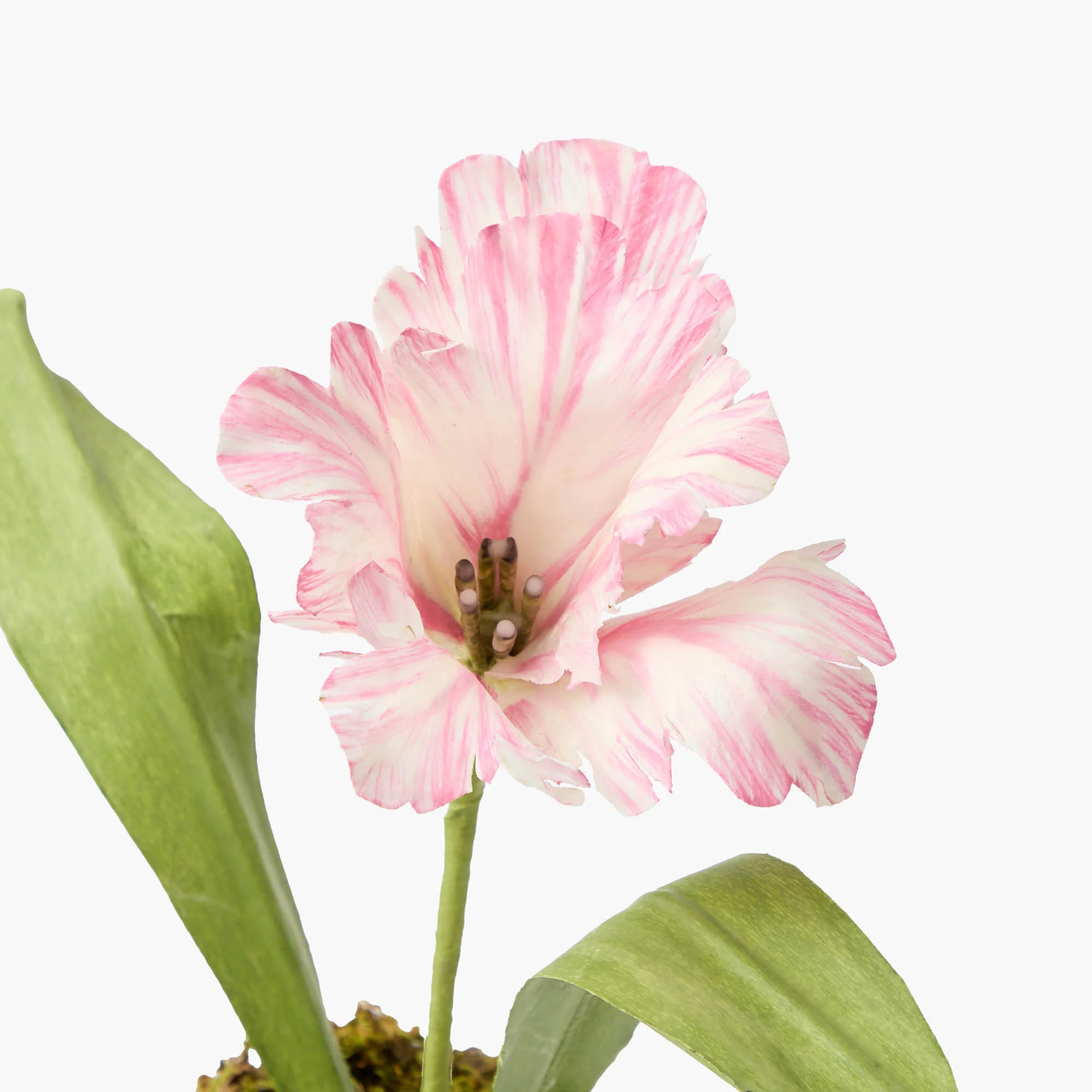 Pink Handpainted Tulip - Image 6