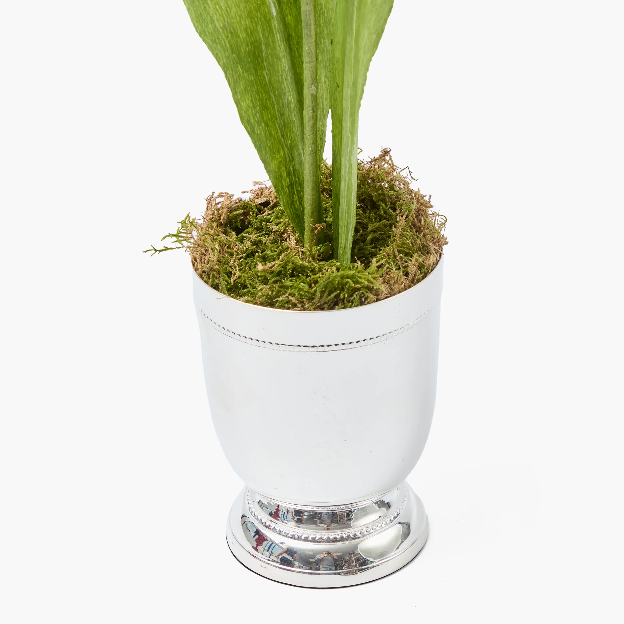 Mrs. Alice Handpainted Red Tulip in Silver Footed Vase - Image 6