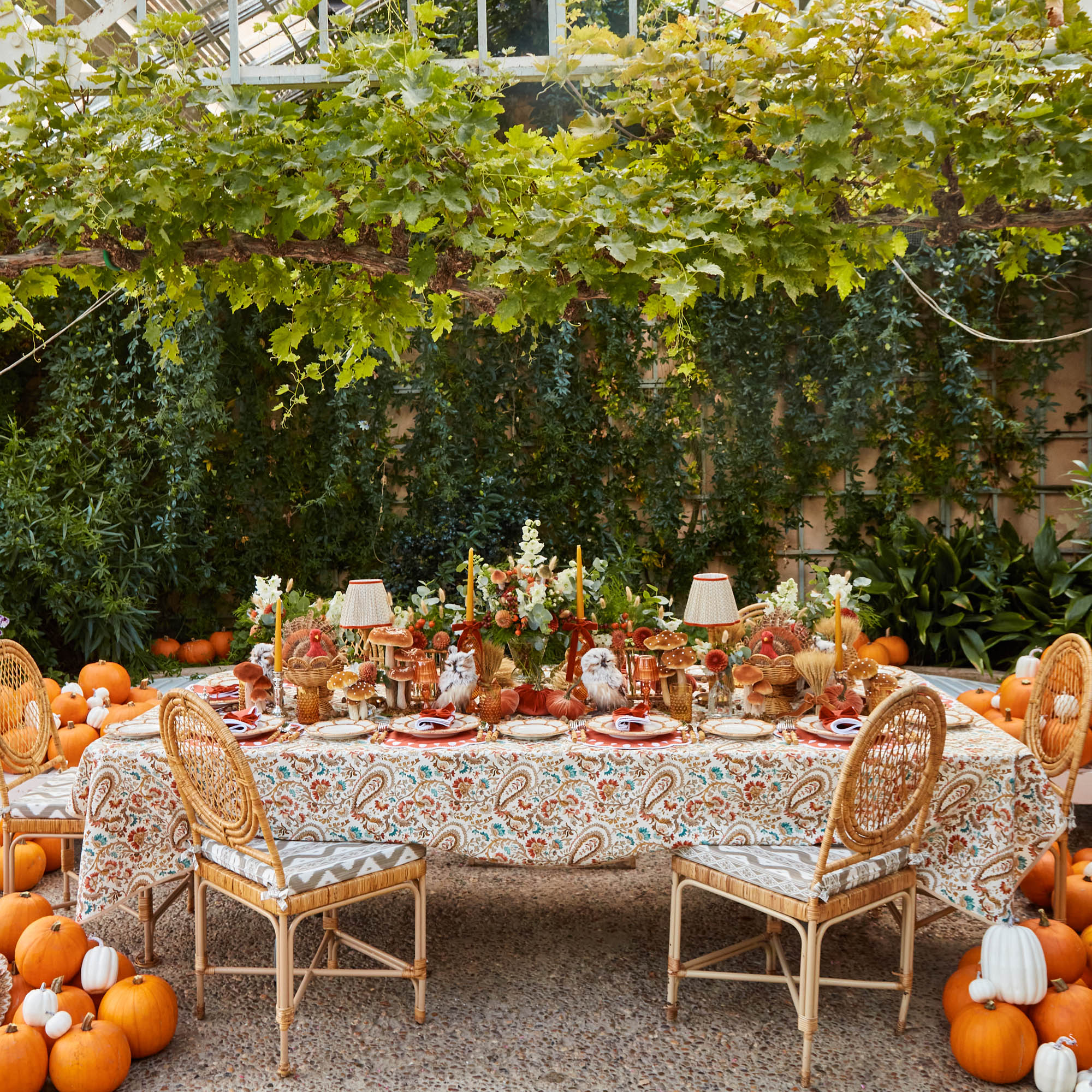 Orange Velvet Pumpkin Family - Image 11
