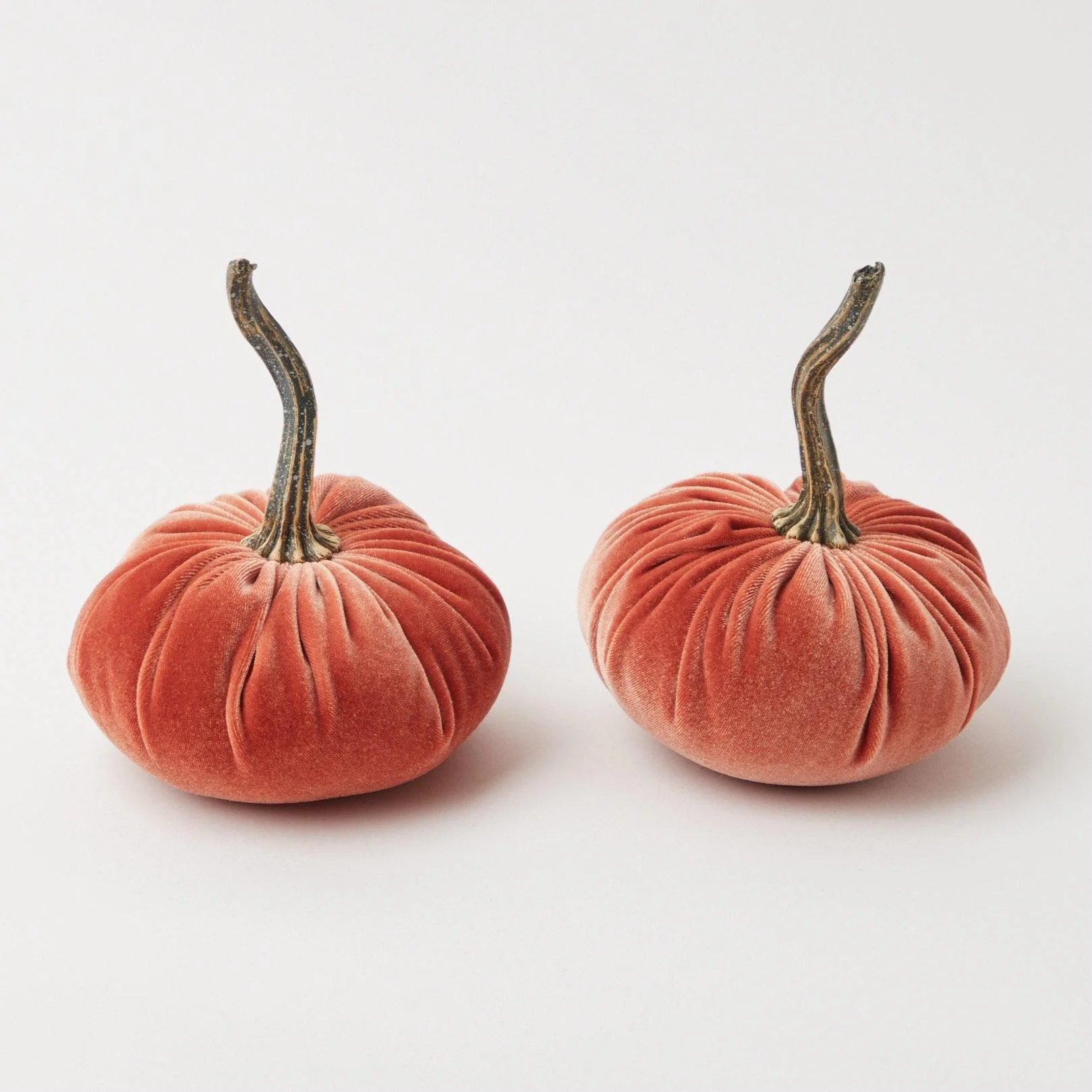 Orange Velvet Pumpkin Family - Image 7