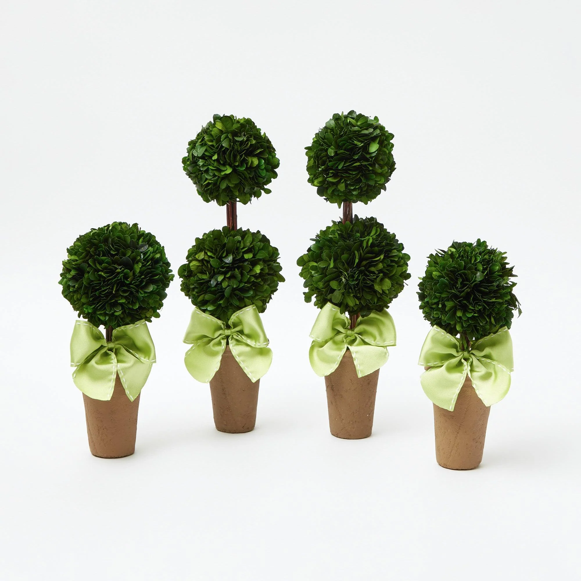 Potted Boxwood Ball with Green Bow (Pair) - Image 9